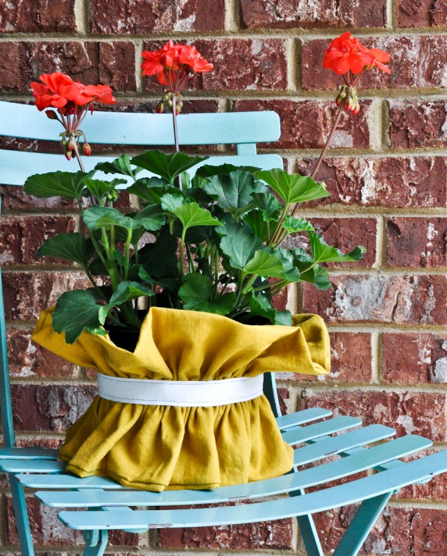 ruffle plant cover-3