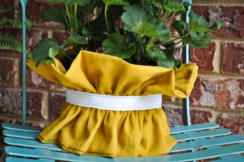 ruffle plant cover-4